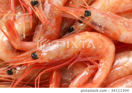 Shrimp 34111304