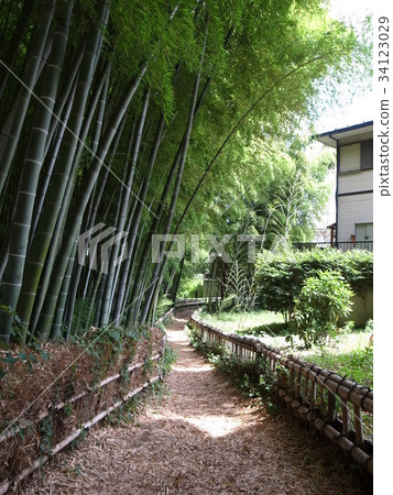 竹園 竹園 34123029