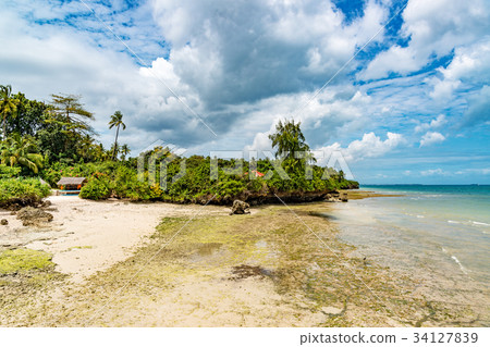 桑給巴爾海岸（坦桑尼亞，桑給巴爾） 34127839