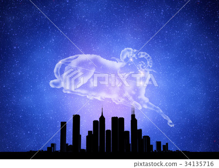 Aries 34135716