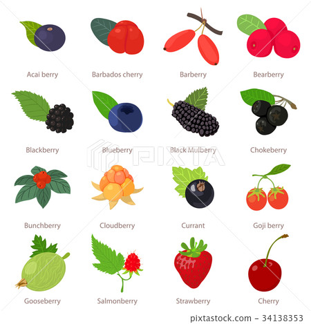 Berries icons set, cartoon style 34138353
