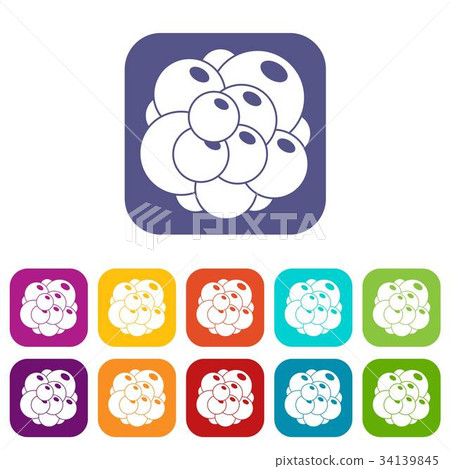 Ovary icons set Ovary icons set 34139845
