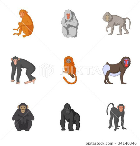 Types of orangutans icons set, cartoon style 34140346