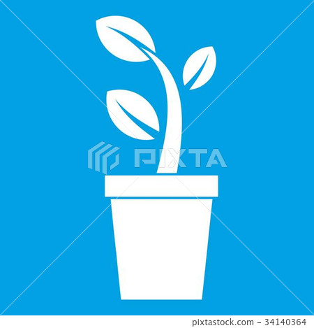 Sprout in pot icon white Sprout in pot icon white 34140364