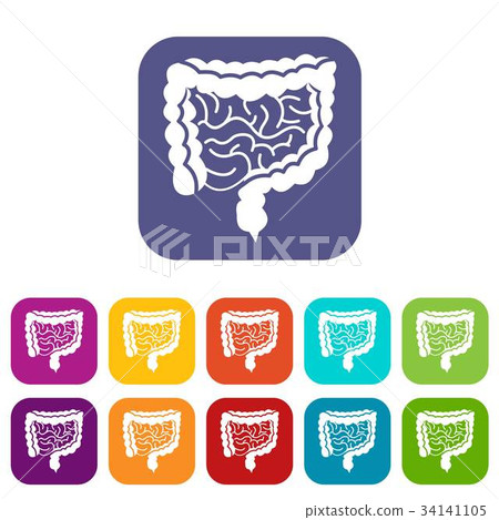 Intestines icons set 34141105