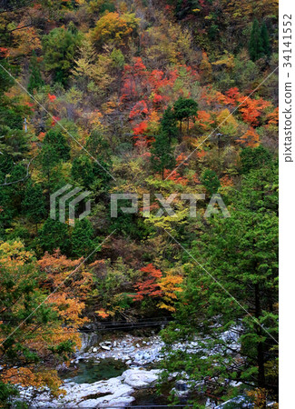Mirai Valley Autumn leaves Nara Prefecture 34141552