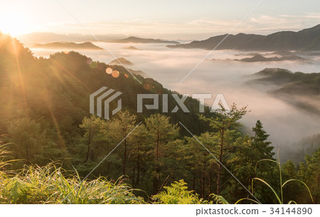 Nogunikawa村 34144890