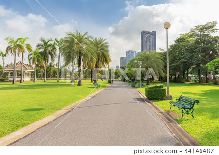 Green Chair in Chatuchak Park 34146487