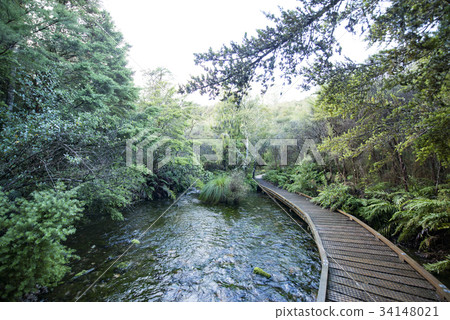 spring water, clear water, fresh water 34148021