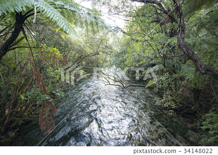 spring water, clear water, fresh water 34148022