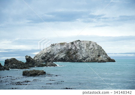 海洋公園 自然保護區 紐西蘭 34148342