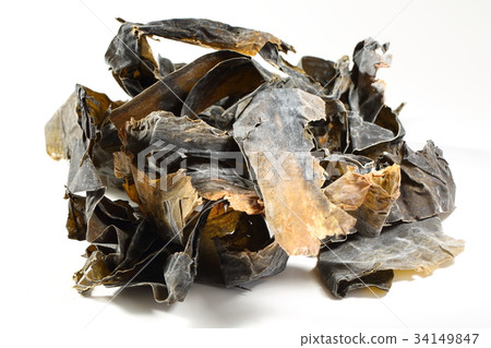 Rausu kelp miscellaneous leaves Rausu kelp miscellaneous leaves 34149847