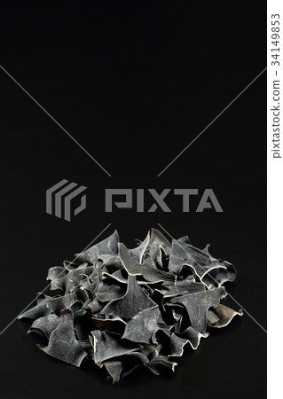 Root kelp 34149853
