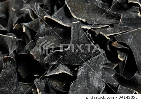 Root kelp 34149855