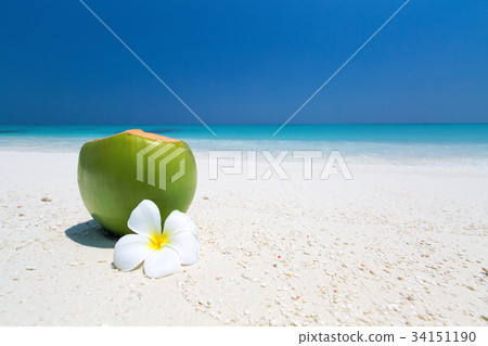 Fresh coconut juice decorated tropical plumeria 34151190