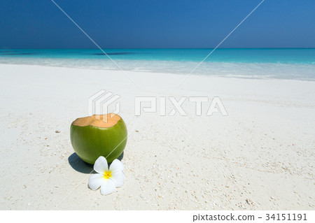 Fresh coconut juice decorated tropical plumeria Fresh coconut juice decorated tropical plumeria 34151191
