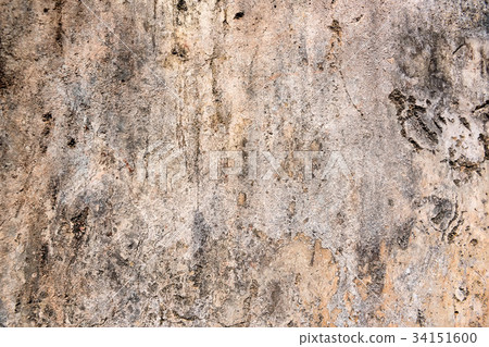 Texture of plaster in ruins of Polonnaruwa Texture of plaster in ruins of Polonnaruwa 34151600