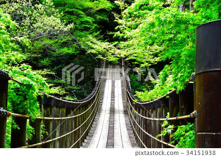 Suspension bridge Suspension bridge 34151938