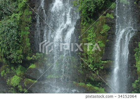 Summer Shiraito Falls 34152064