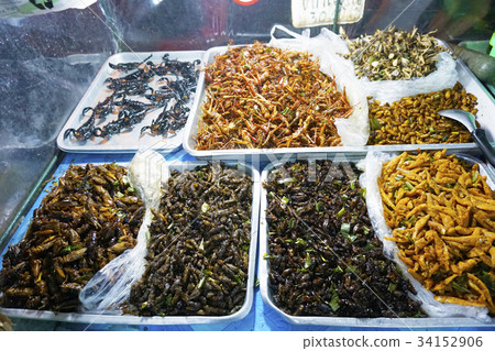 Insect diet Entomophagy 34152906
