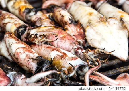 Grilled squid on stove Grilled squid on stove 34153752