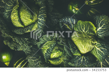 Raw fresh green cabbage texture and background Raw fresh green cabbage texture and background 34153753