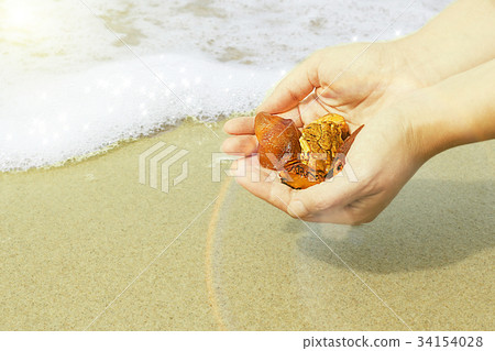 Amber in the hand with a bright reflection on the 34154028