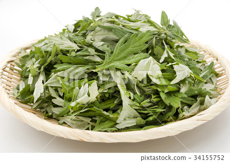 艾蒿 艾蒿 34155752