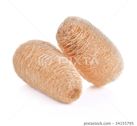 Loofah Body Scrub isolated on white background 34155795