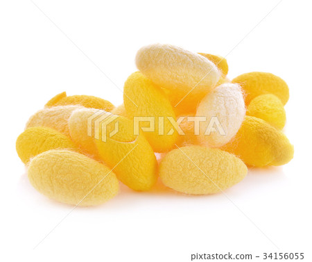 Cocoon face nature on white background 34156055
