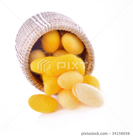 Cocoon face nature on white background 34156056
