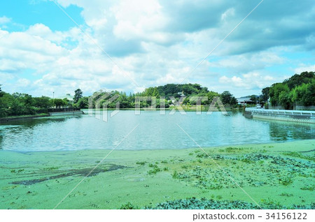 香川池塘 34156122