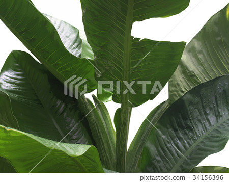 Background Background 34156396