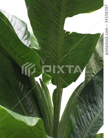 Background Background 34156397