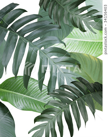 Background Background 34156403