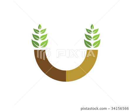 Agriculture wheat Logo Template 34156566