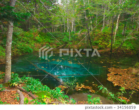 Mysterious Pond God's Pond Mysterious Pond God's Pond 34156859