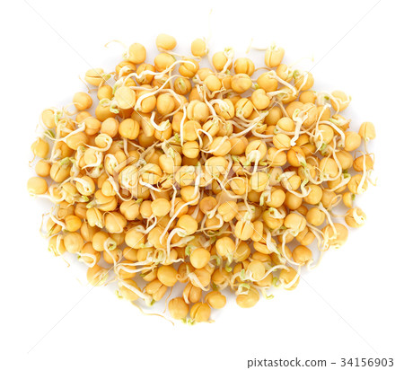 snow pea sprouts isolated on white background 34156903