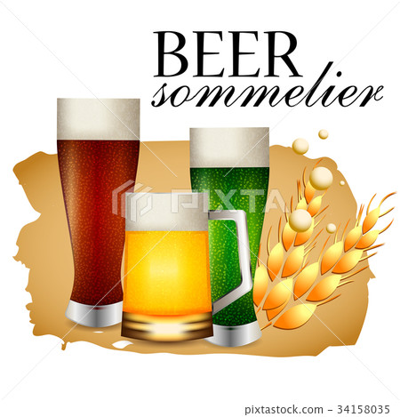 Beer sommelier banner Beer sommelier banner 34158035