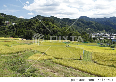 Terakasaka Tanada (Yokose Town) 34158603