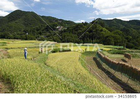 Terakasaka Tanada（Yokose Town） 34158605