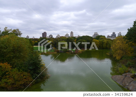 中央公園龜池 中央公園龜池 34159624