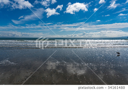 Onetangi Beach Waiheke Island New Zealand 34161480
