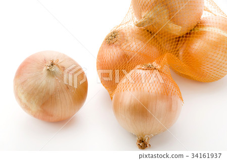 onion  34161937