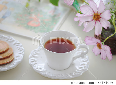 茶波斯菊 34161986