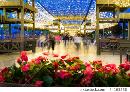 a bed of flowers in a pedestrian street decorated a bed of flowers in a pedestrian street decorated 34163288