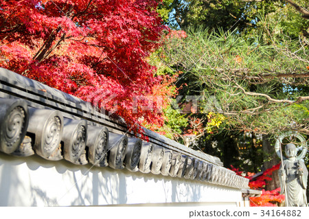 Myoshinji Dezo-in，Tsukiji-mochi，秋葉和Mizuko Jizo 34164882