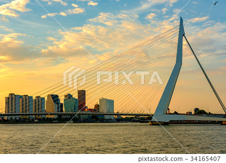 Rotterdam city with Erasmus bridge at sunset 34165407