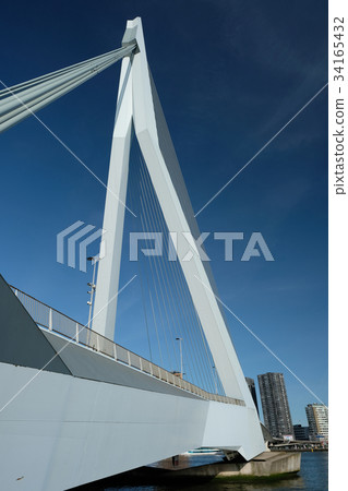Rotterdam cityscape with Erasmus bridge 34165432