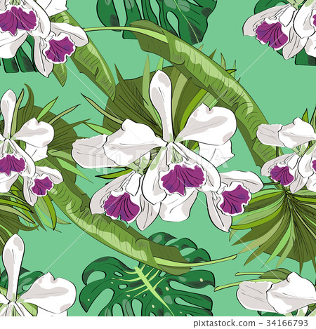 Seamless vector pattern of exotic vector flowers Seamless vector pattern of exotic vector flowers 34166793